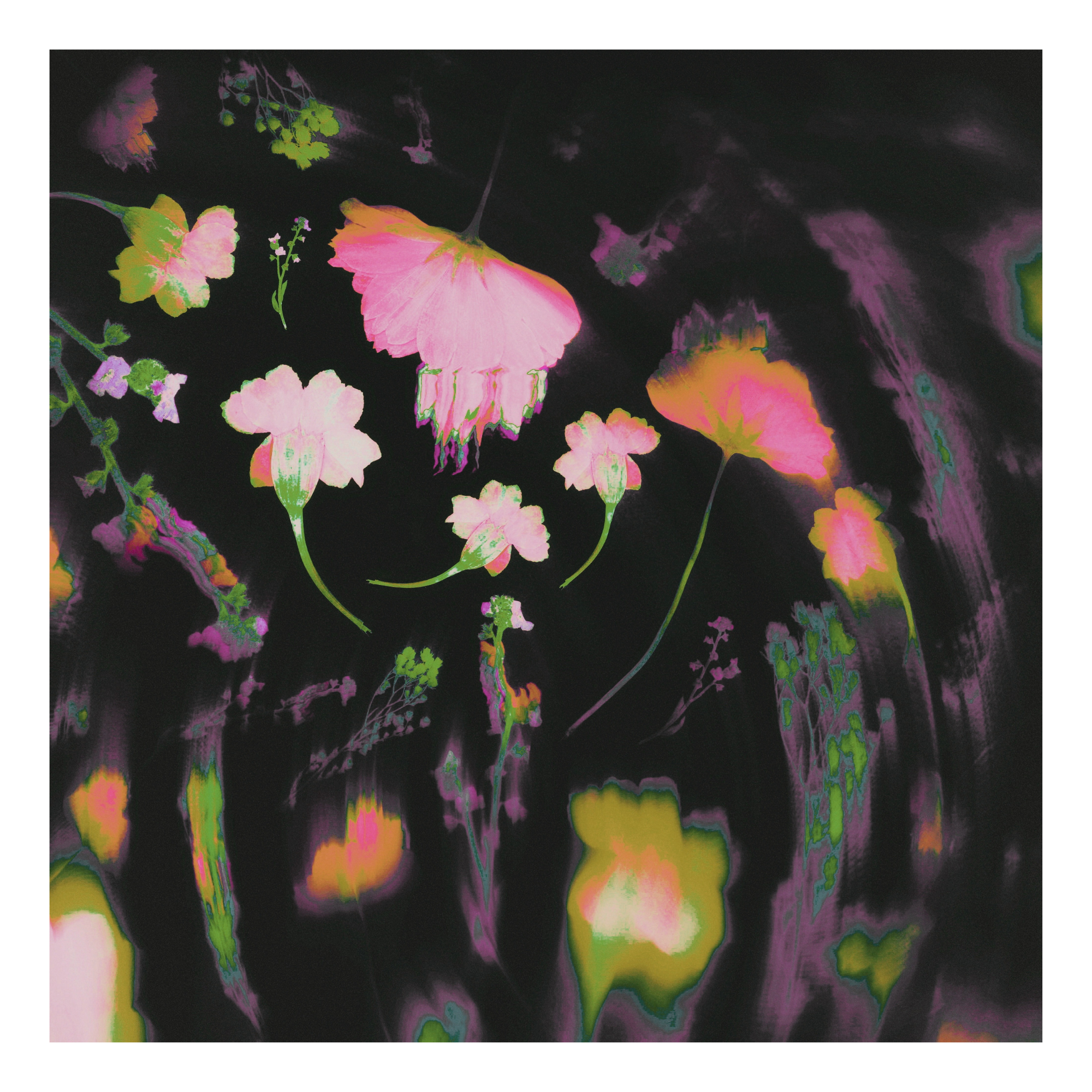Colorful green, peach and pink multicolor floral pattern with motion blur on a black background