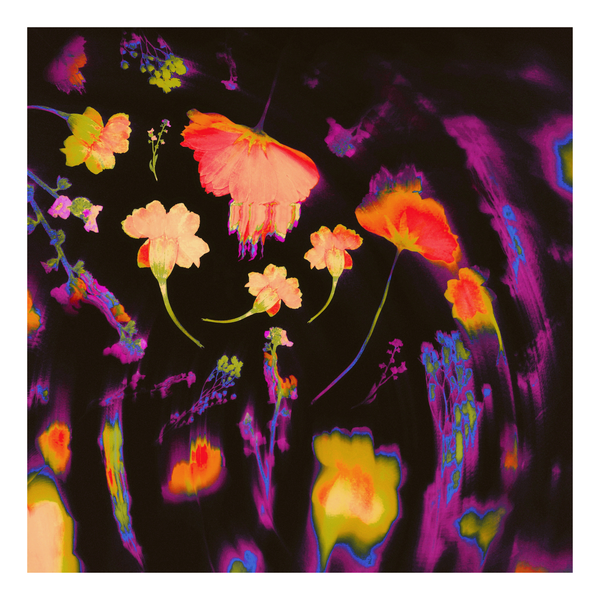 Colorful purple, orange, yellow and blue multicolor floral pattern with motion blur on a black background
