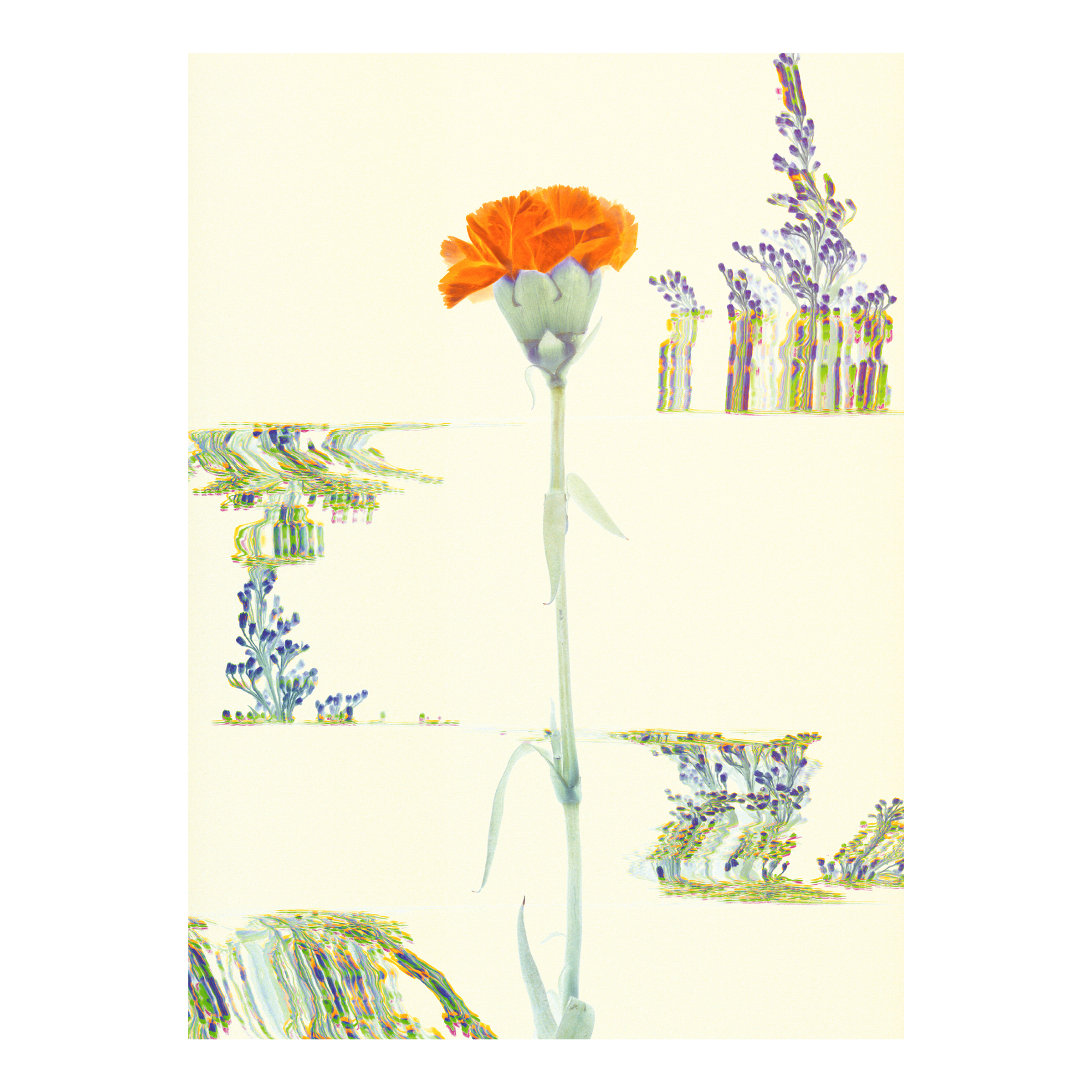 Abstract, glitchy plants surrounding a flower