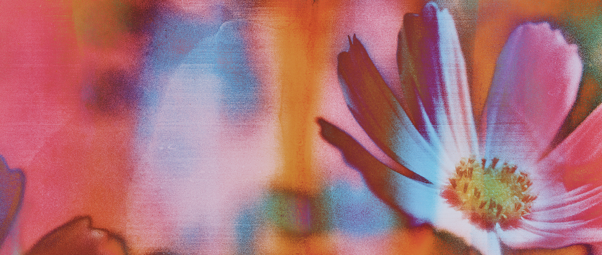A close-up artistic photograph of a flower with soft, painterly color treatment in orange, pink, blue, and yellow tones.