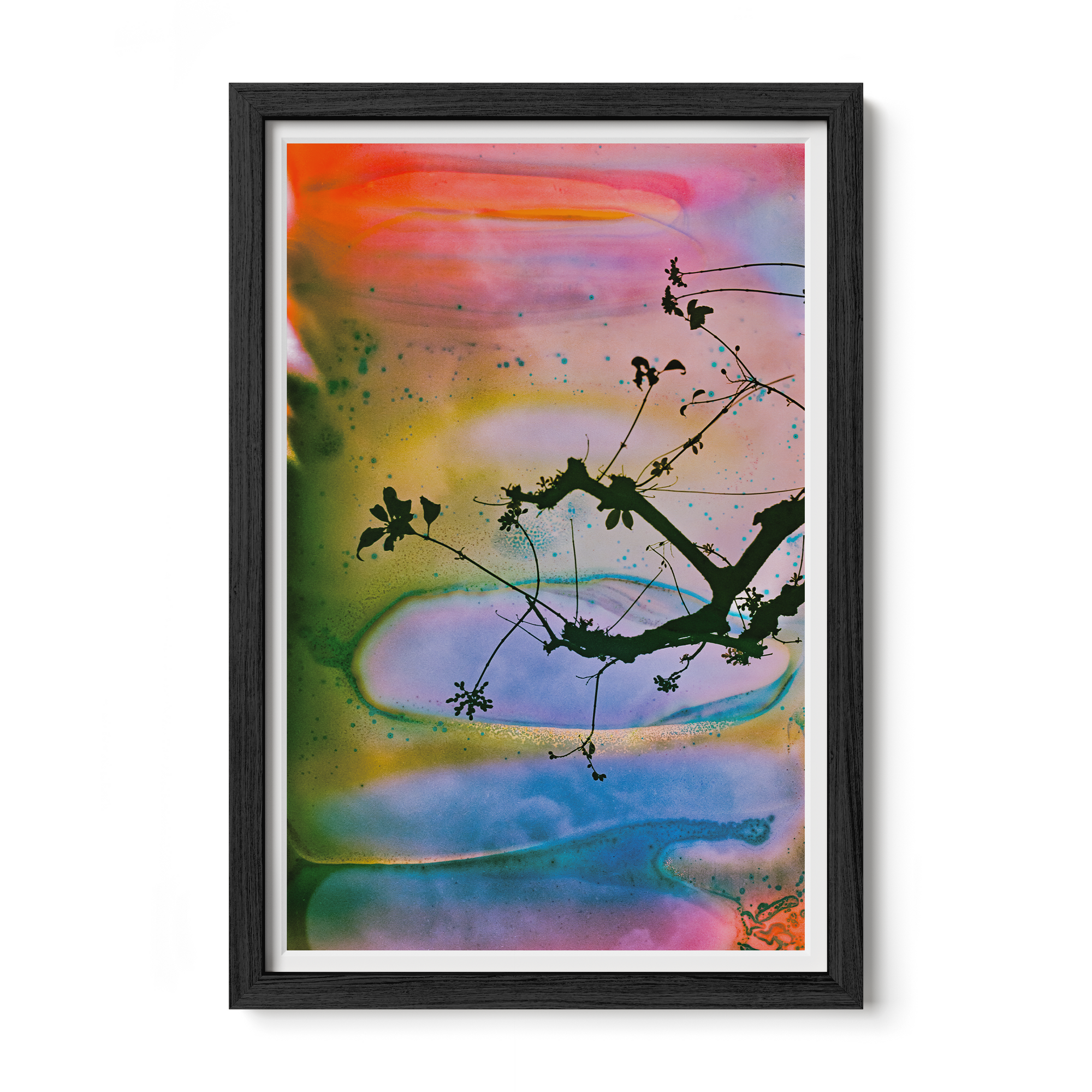 Branches In A Painted Sky