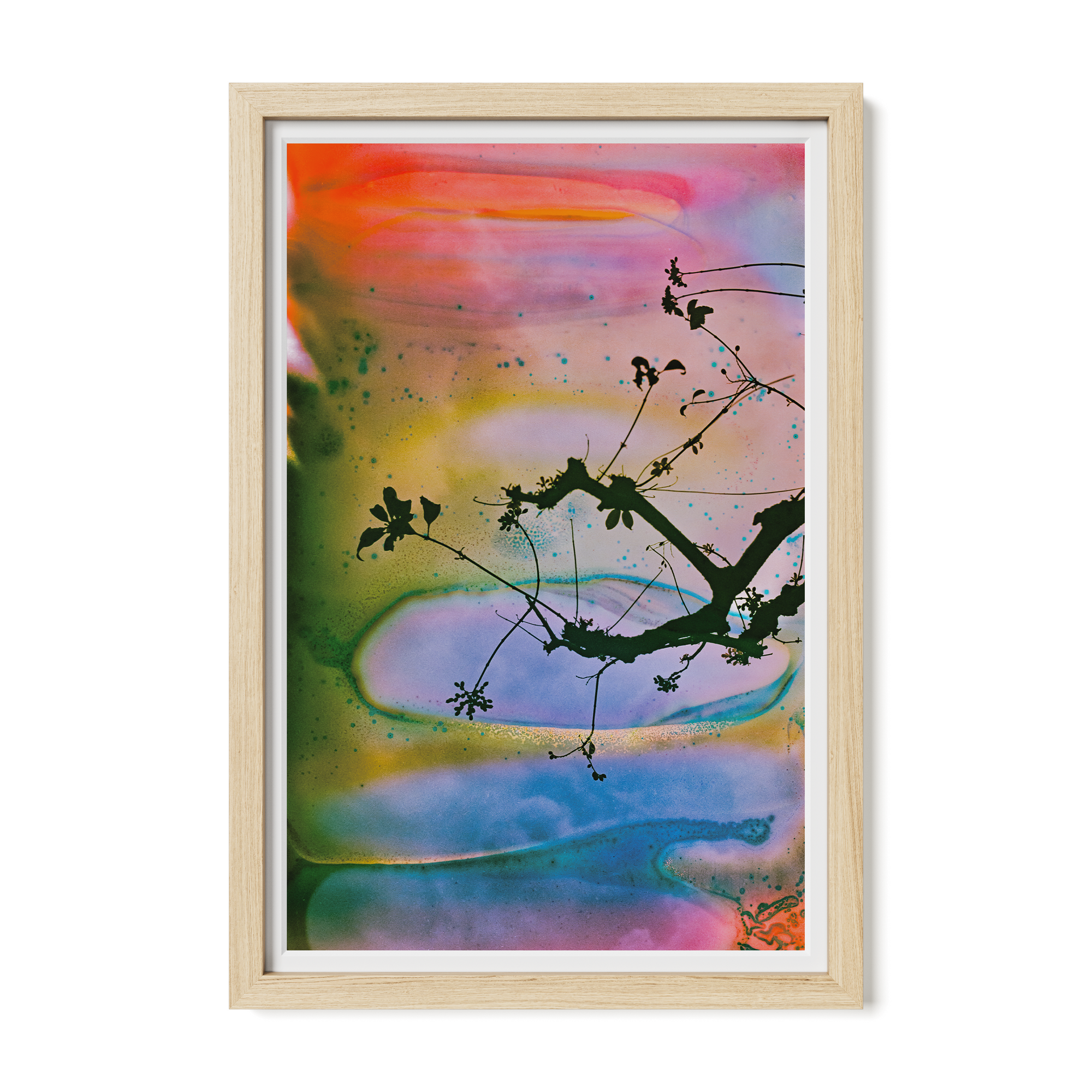 Branches In A Painted Sky