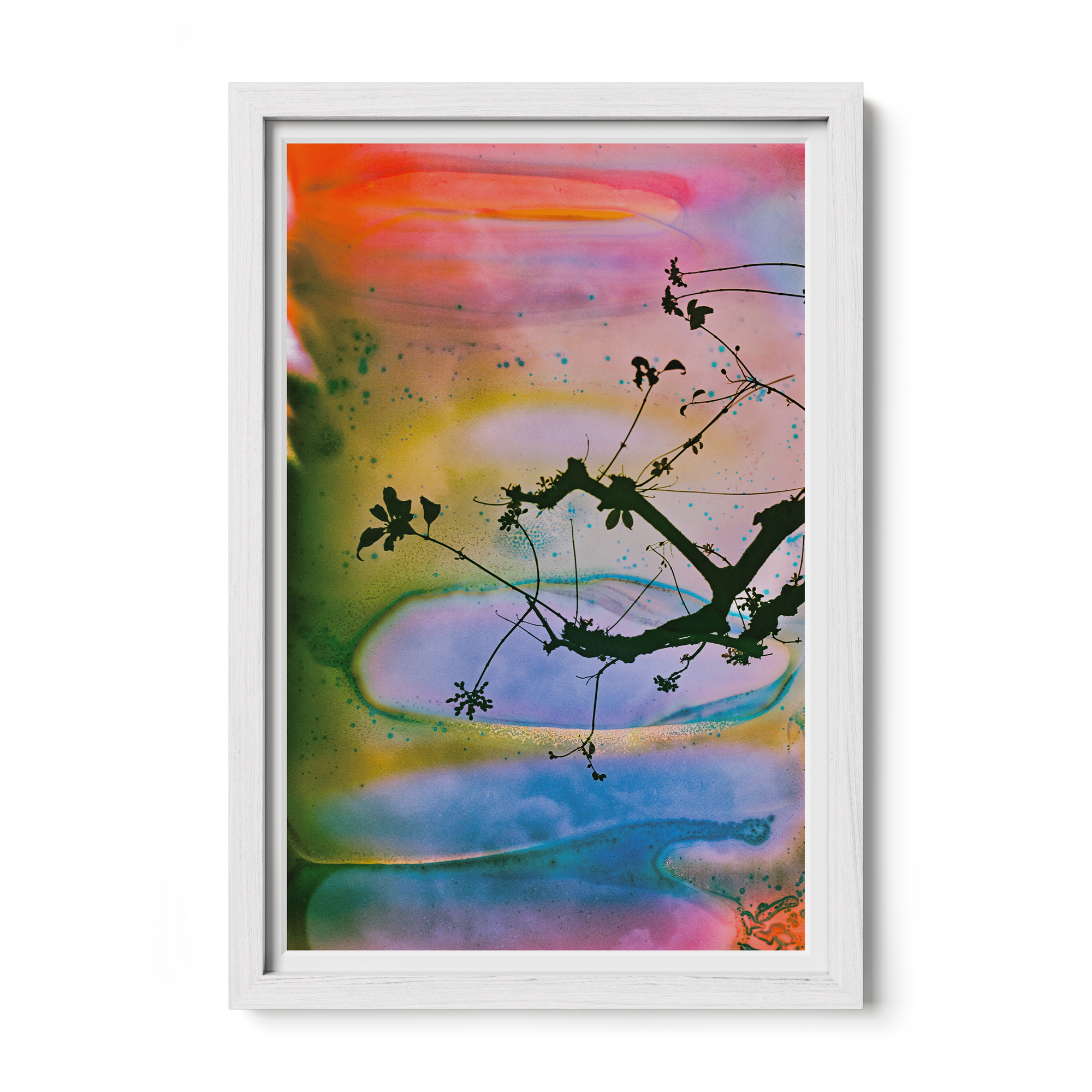 Branches In A Painted Sky