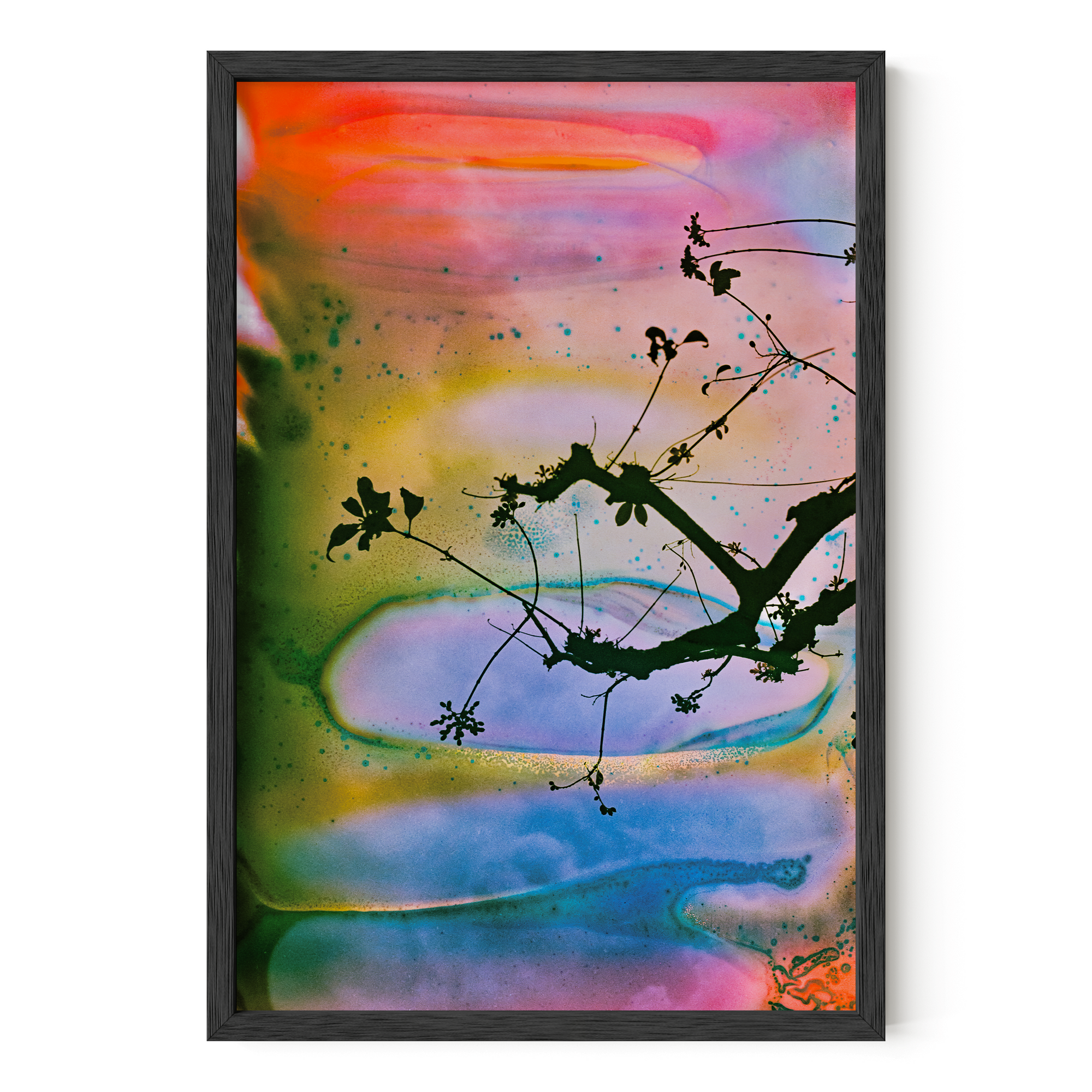 Branches In A Painted Sky