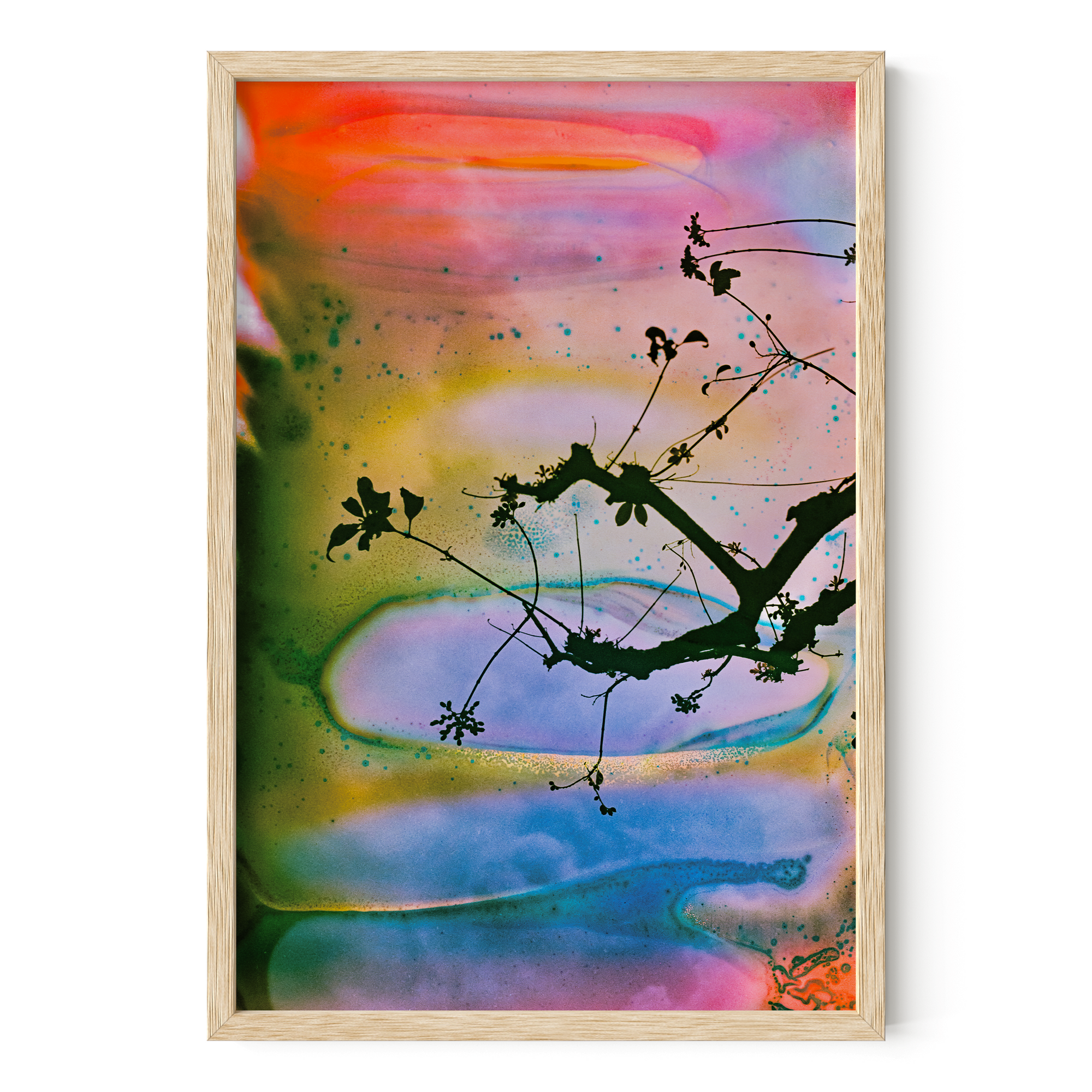 Branches In A Painted Sky