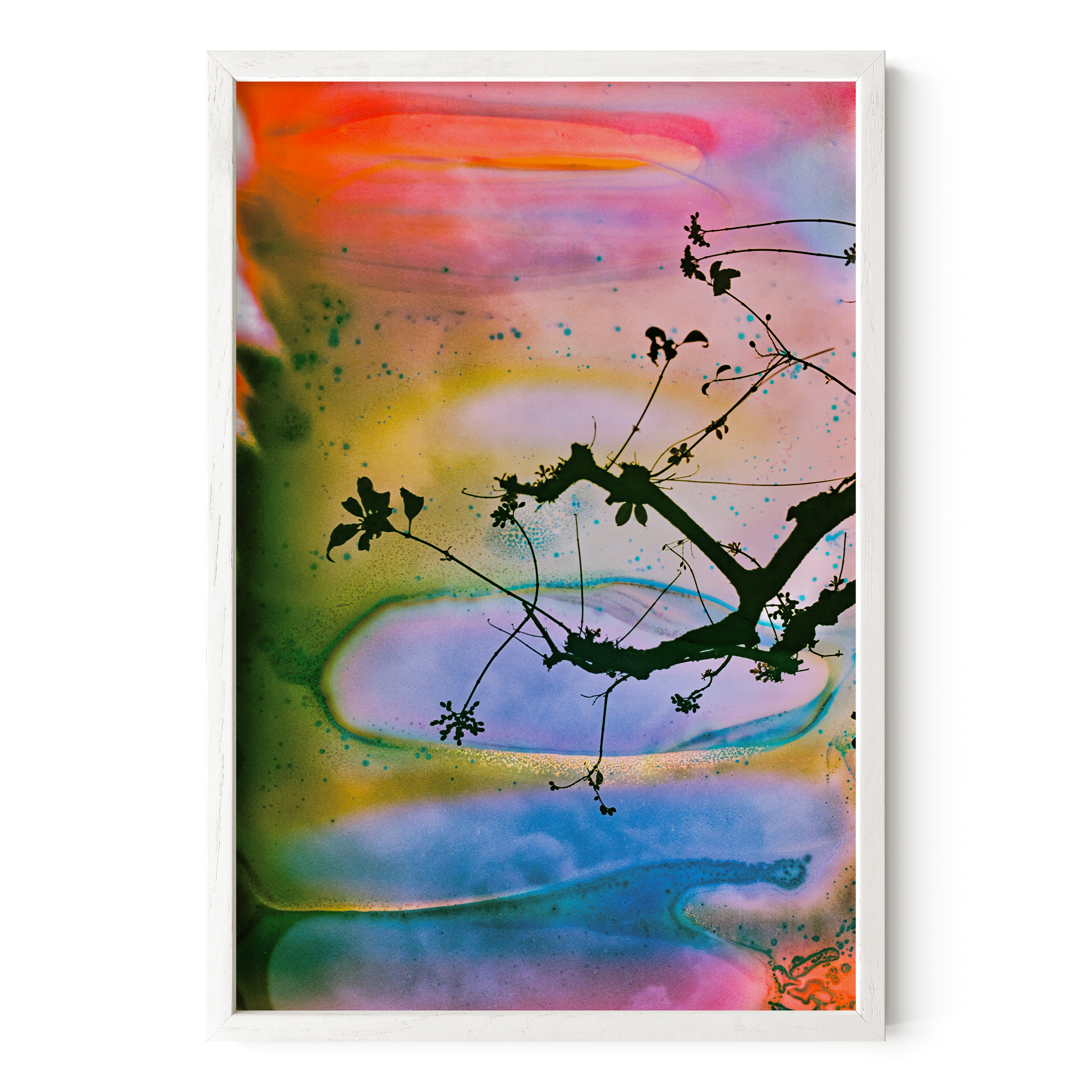 Branches In A Painted Sky