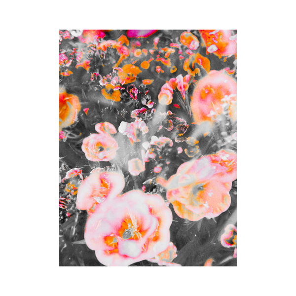 Blooming Impressions