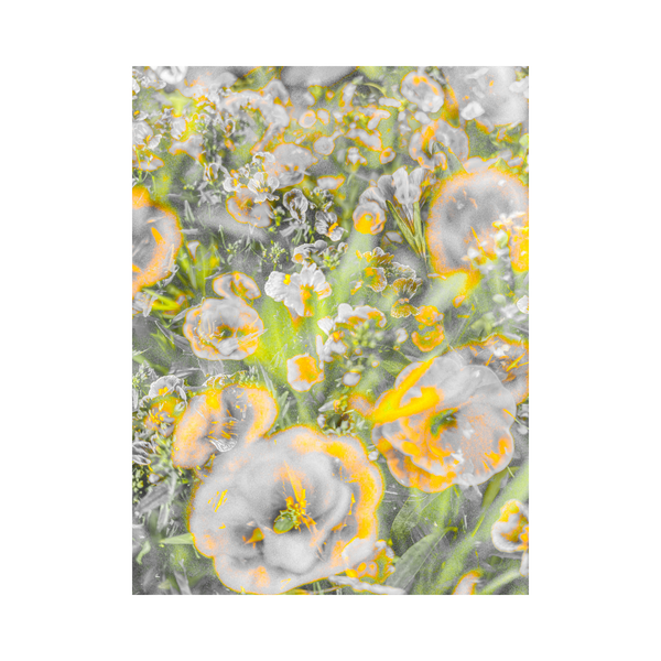 Blooming Impressions