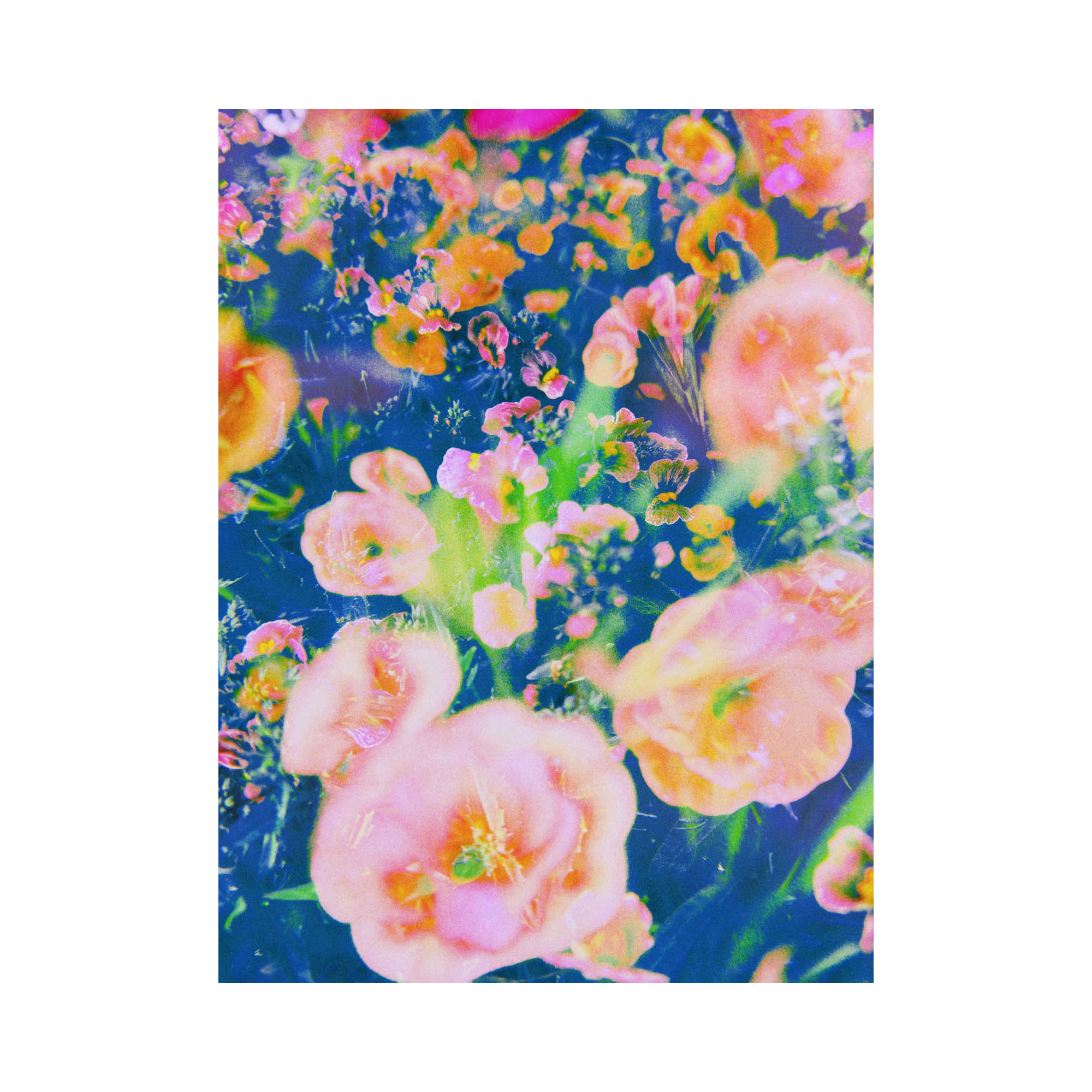 Blooming Impressions