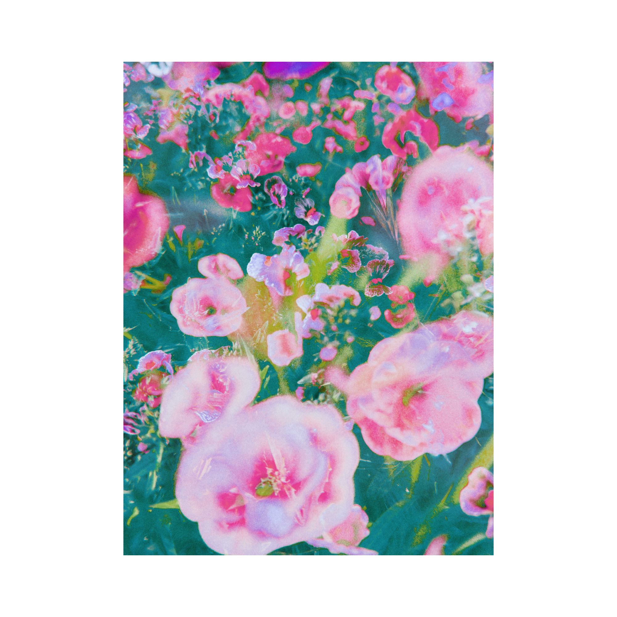 Blooming Impressions