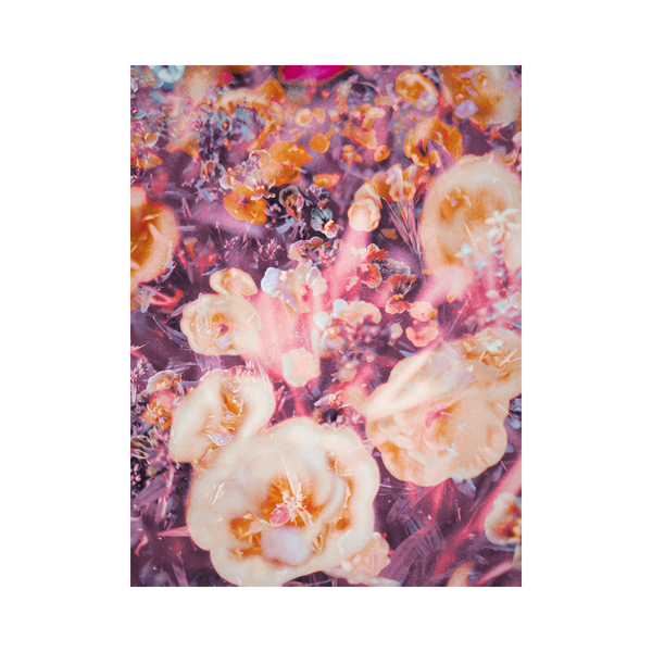 Blooming Impressions