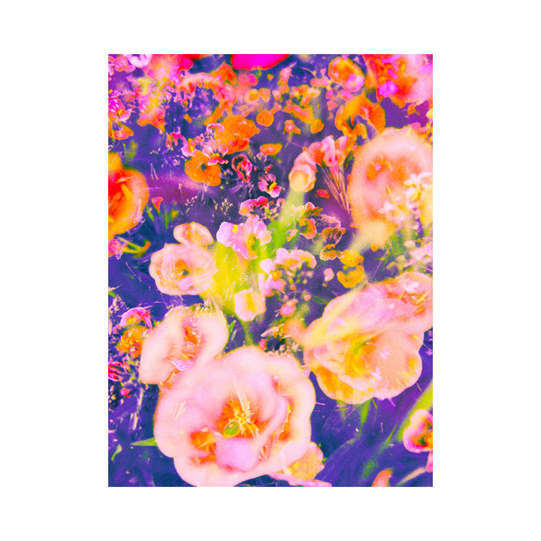 Blooming Impressions