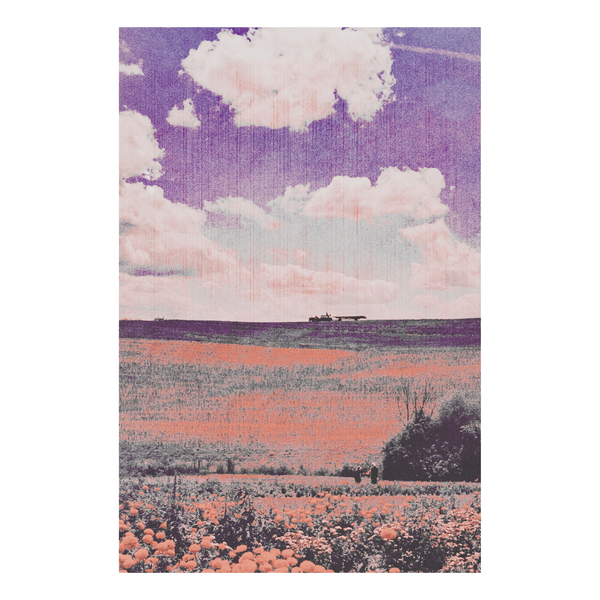 An orange flower field beneath a purple sky