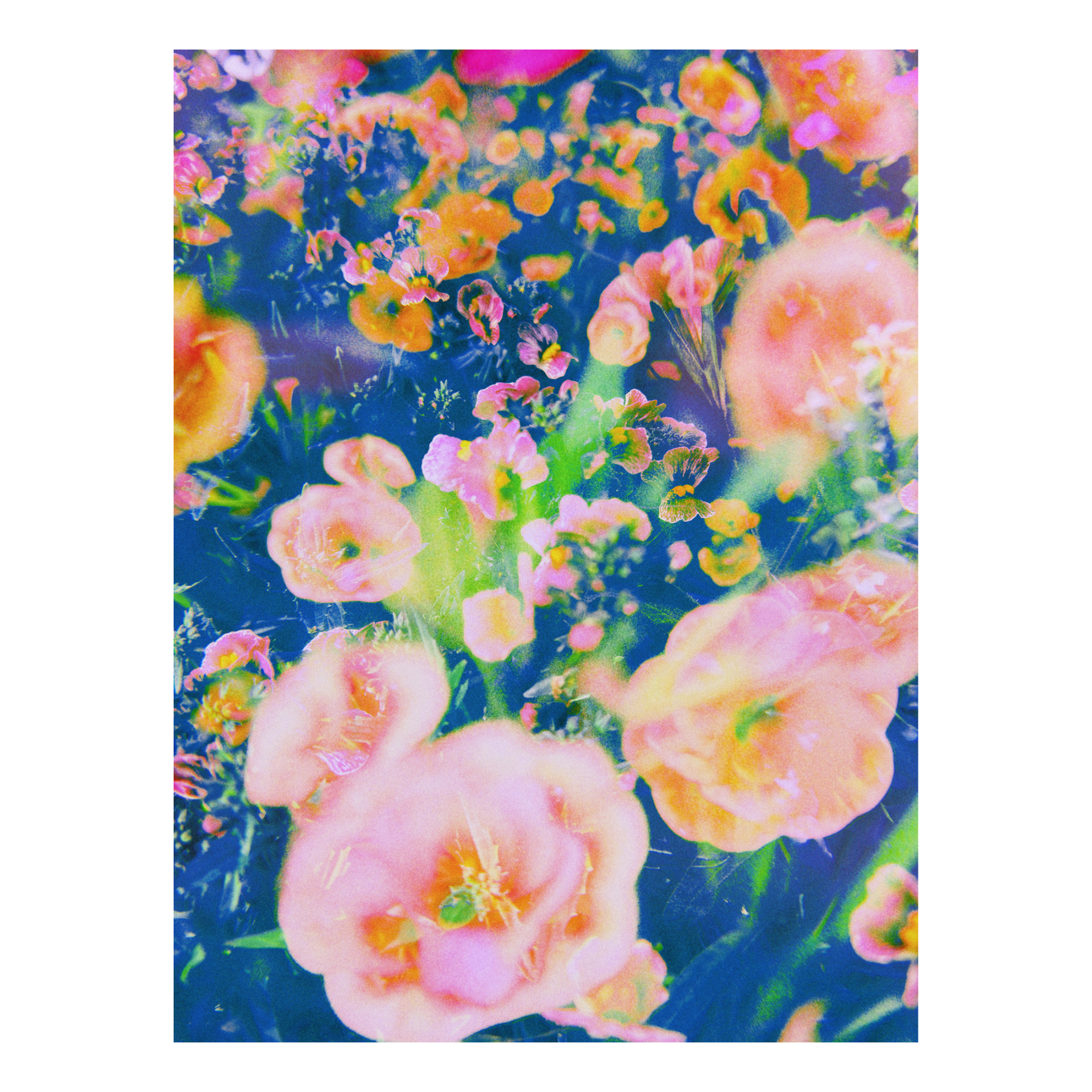 Blooming Impressions