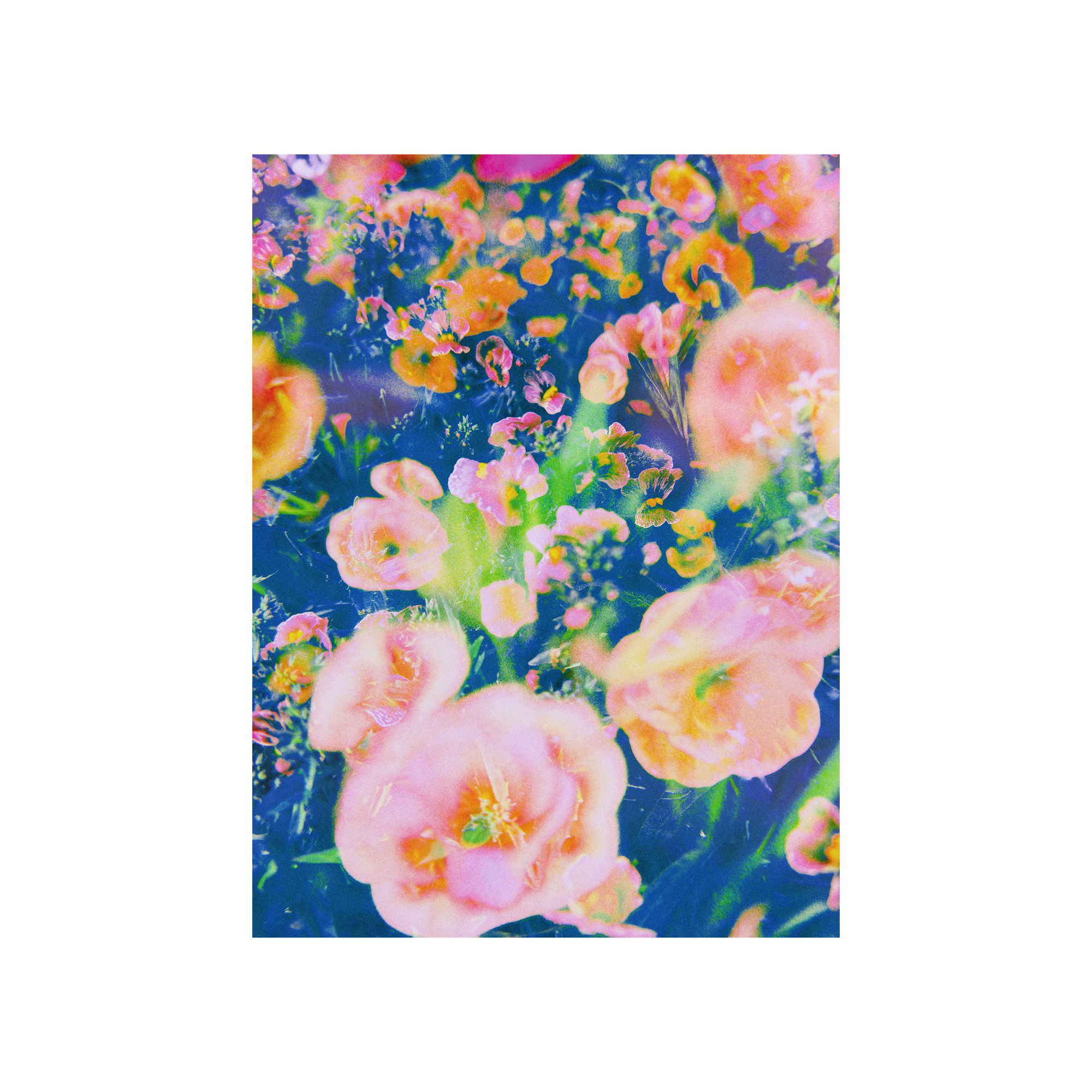 Blooming Impressions