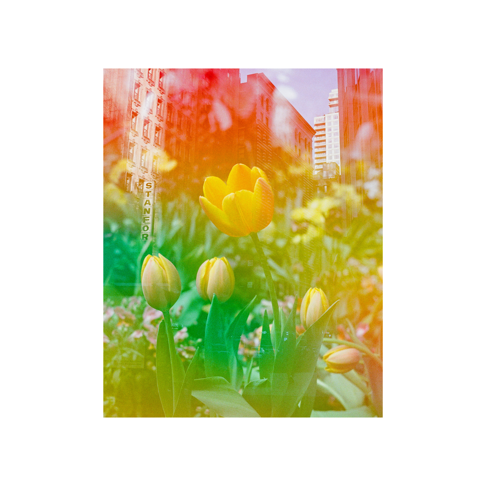 Center of the Universe