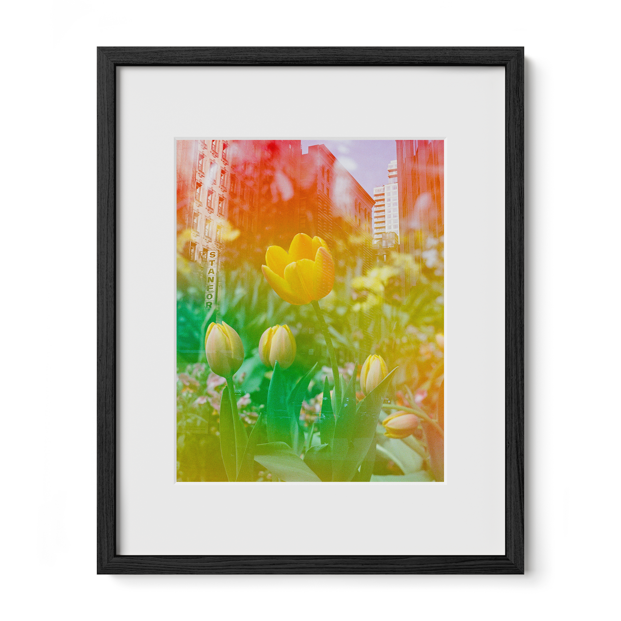 Center of the Universe