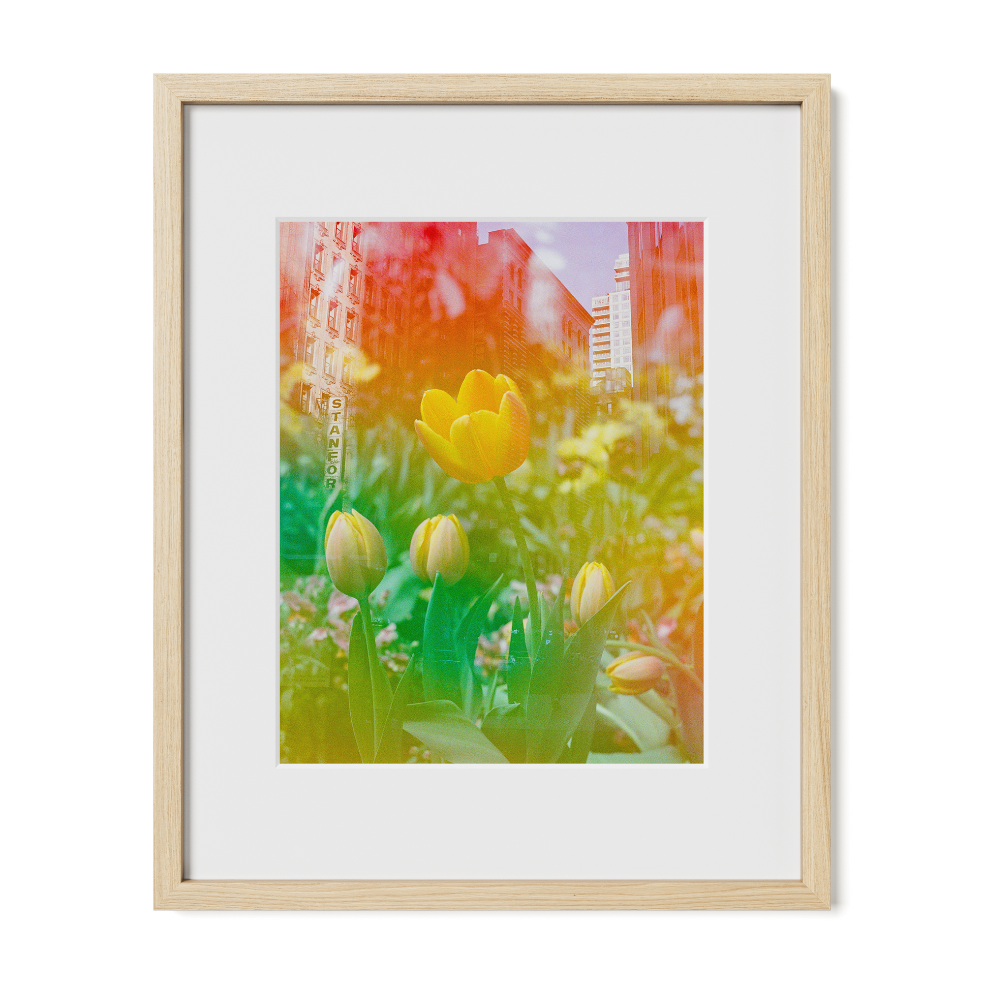 Center of the Universe