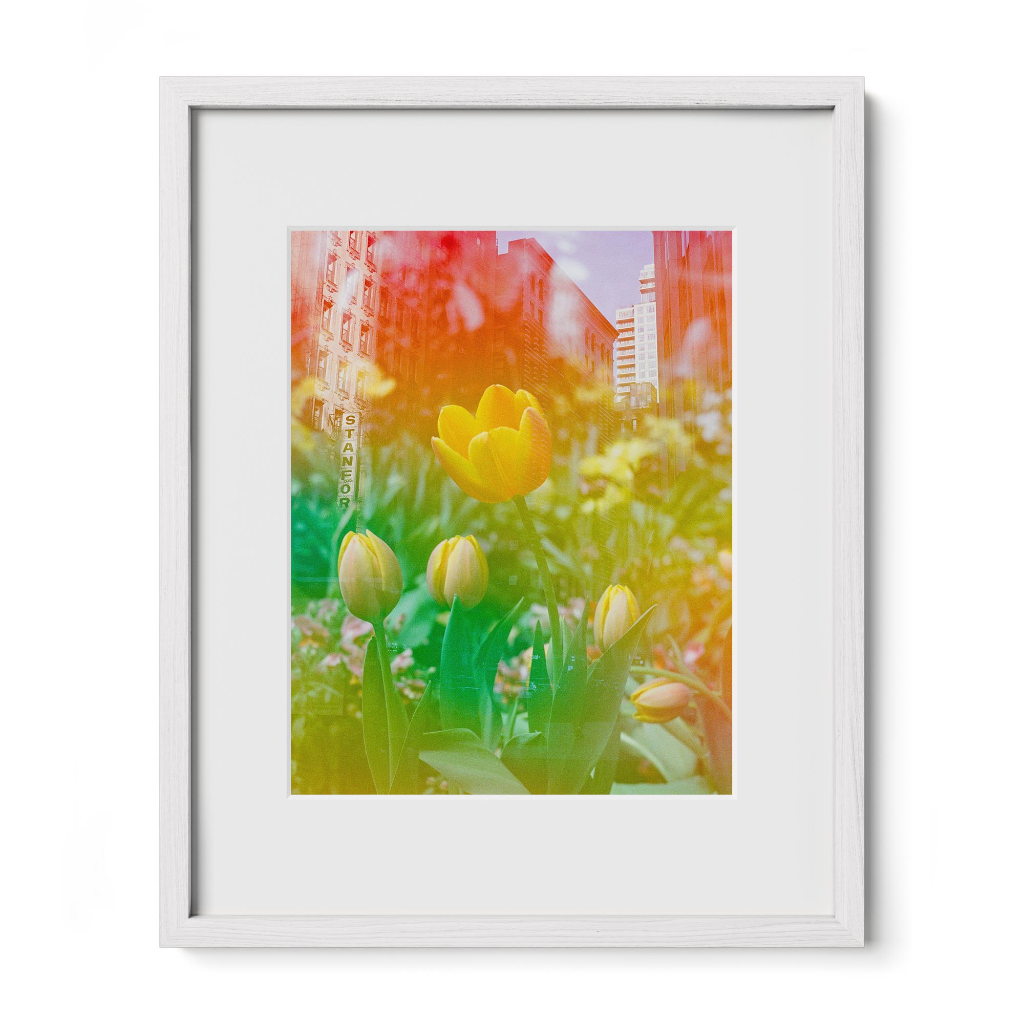 Center of the Universe