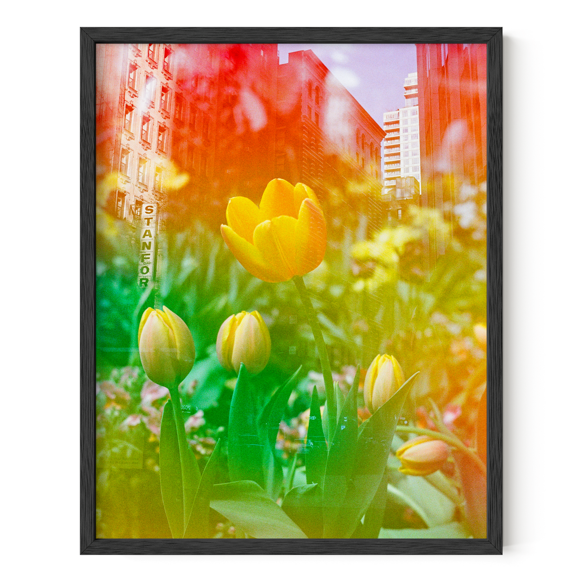 Center of the Universe