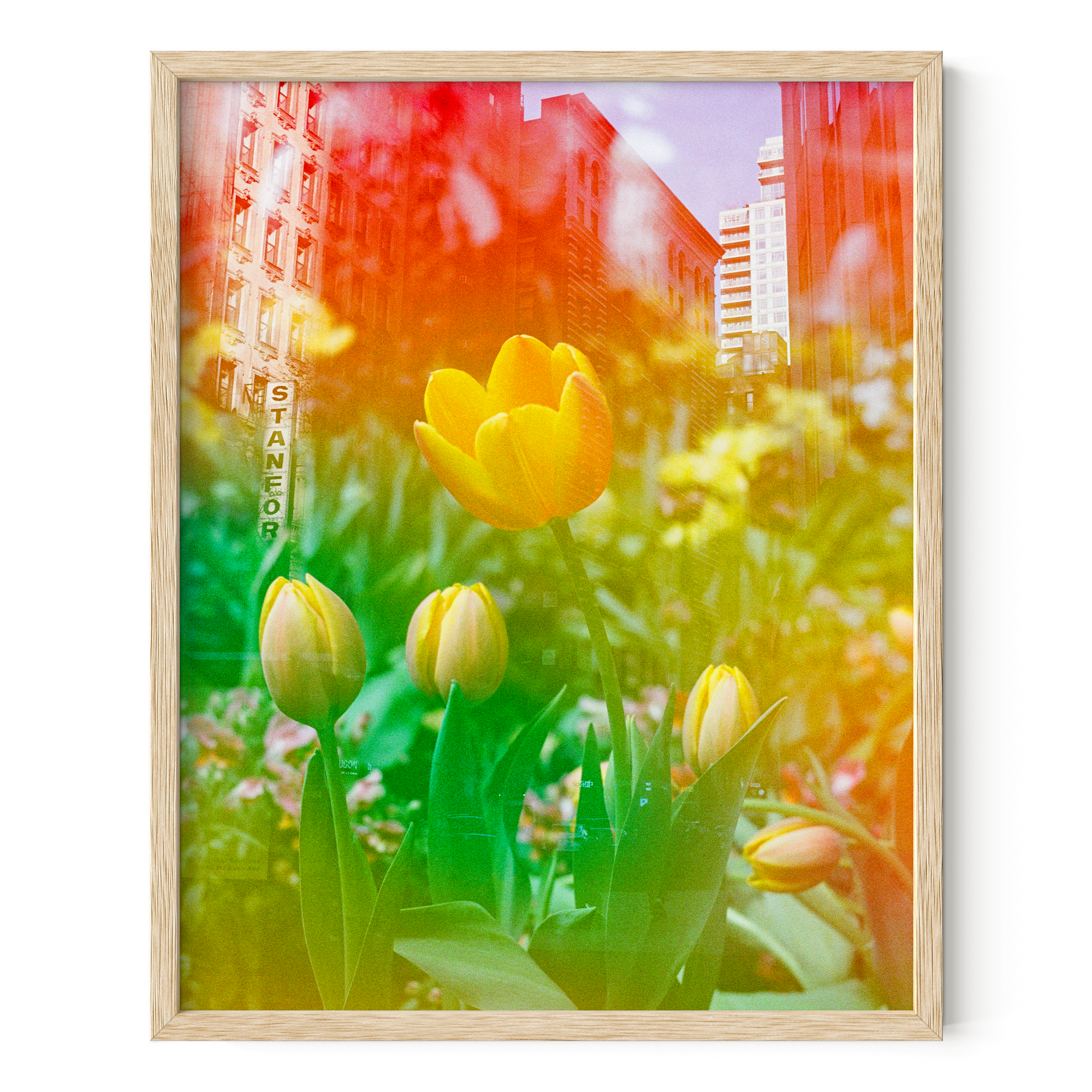 Center of the Universe