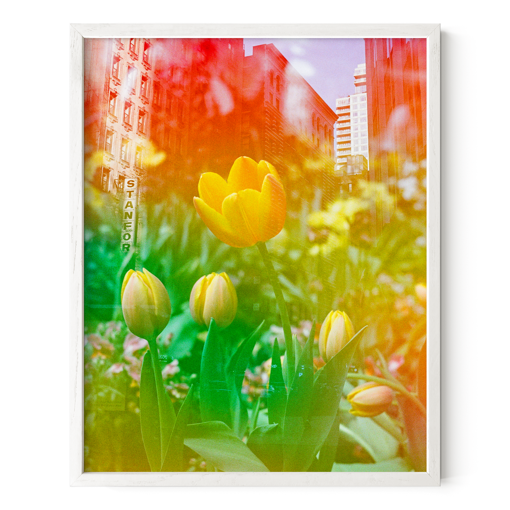 Center of the Universe