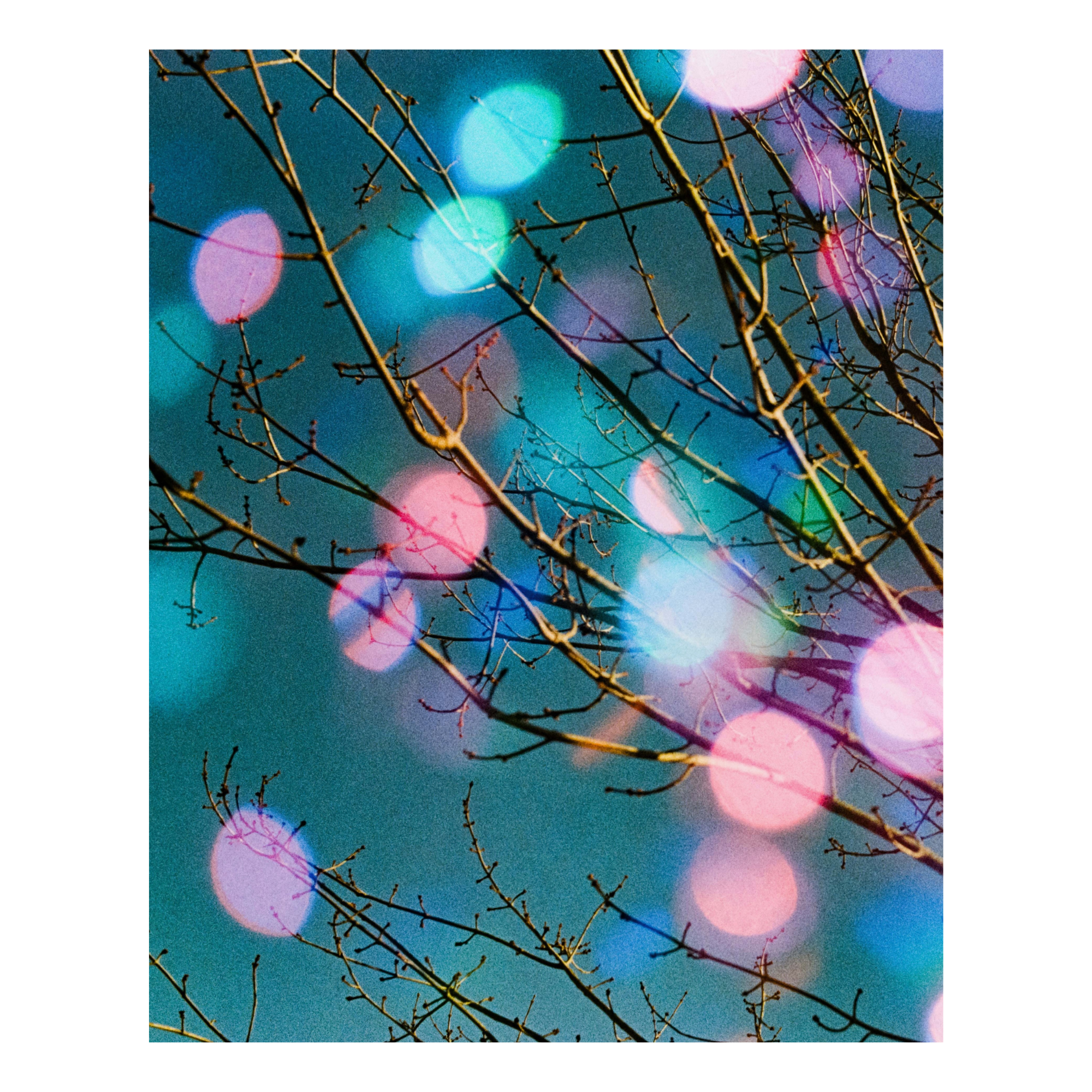 Tree branches with colorful bokeh lights against a blue sky