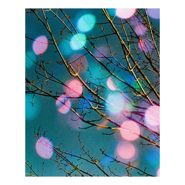 Tree branches with colorful bokeh lights against a blue sky