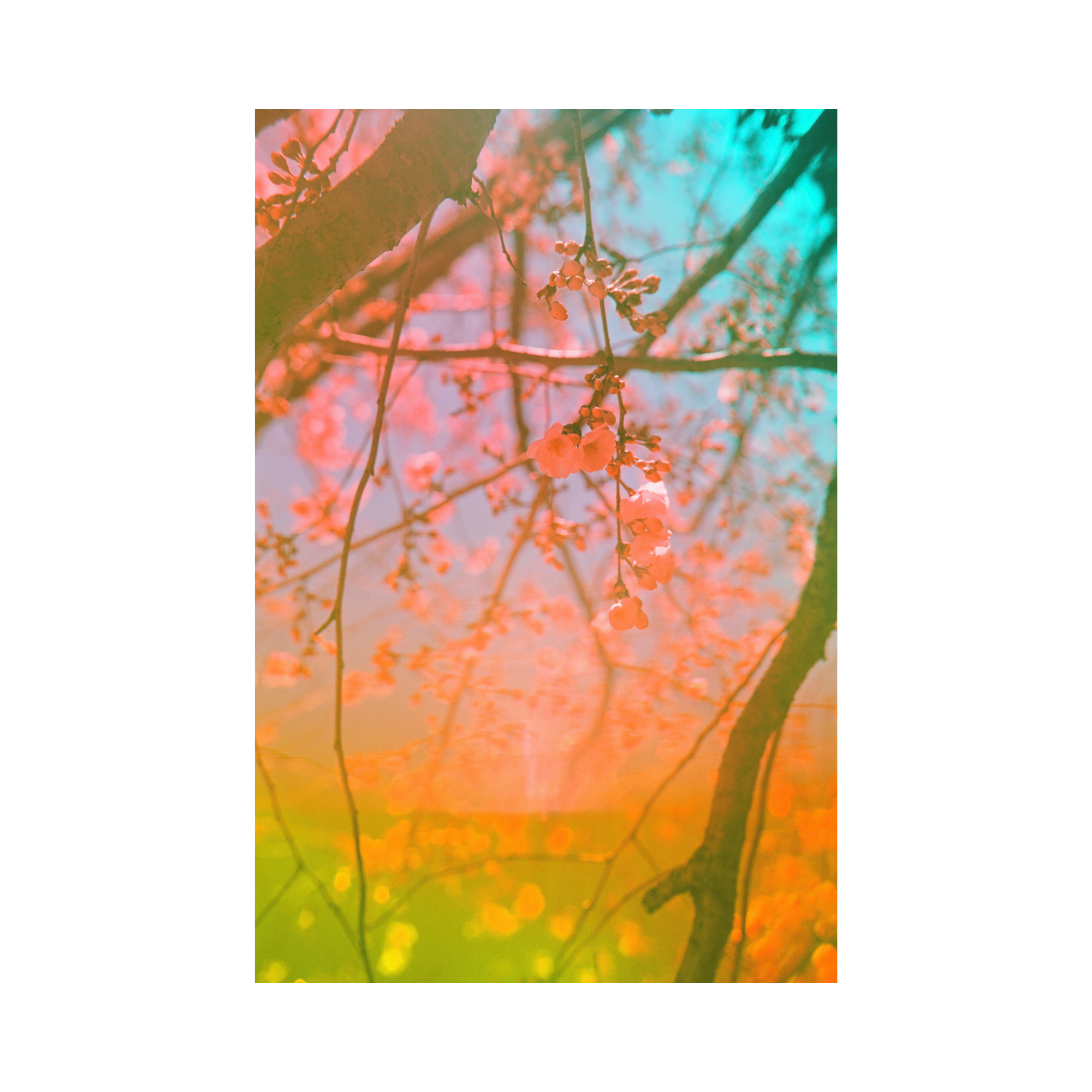 Corrective Experience