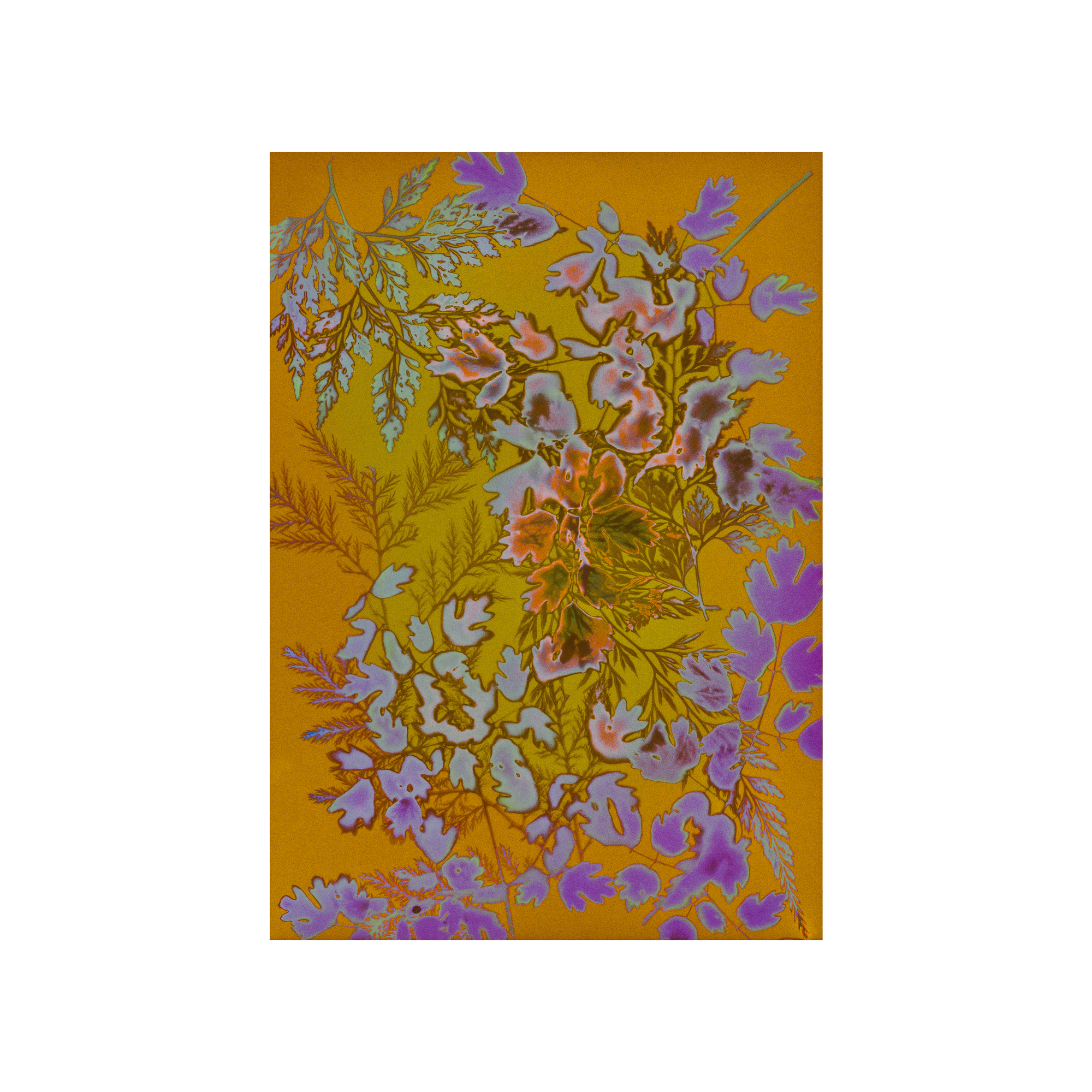 Everything to Everyone