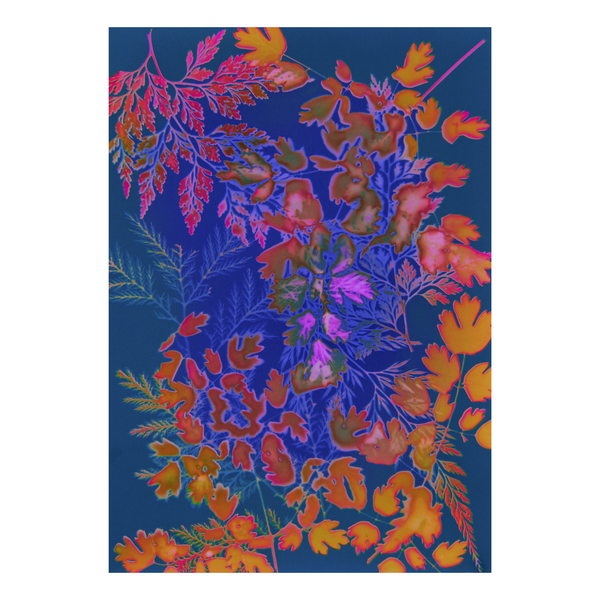 Colorful floral pattern on a blue background