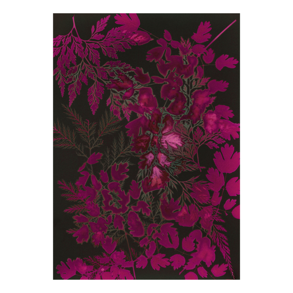 Floral pattern with pink flowers and green leaves on a dark background