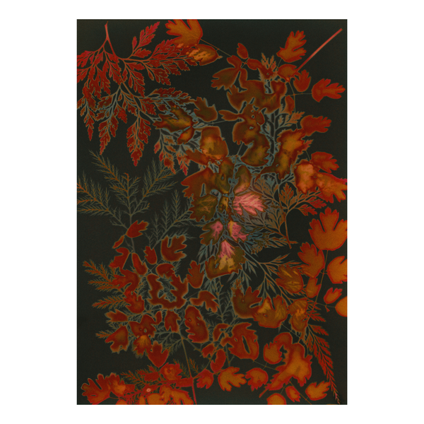Floral pattern with red and orange leaves on a dark background