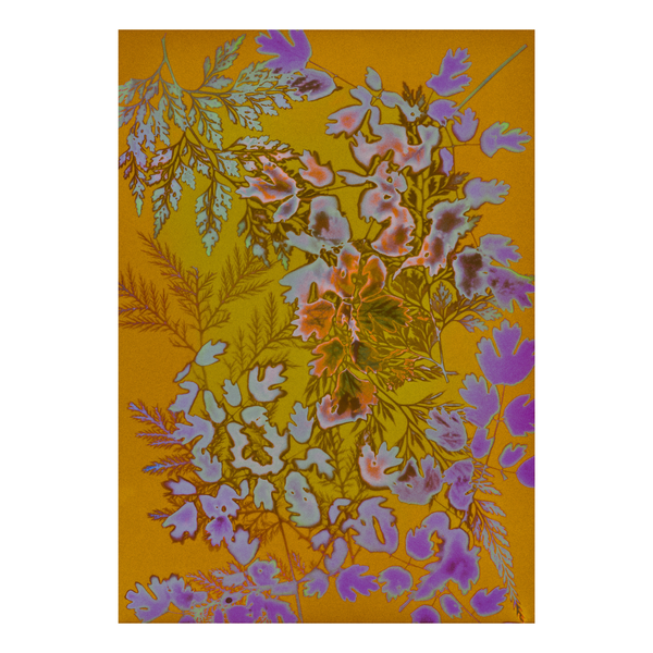 Floral pattern with teal, pink and purple flowers on a yellow background