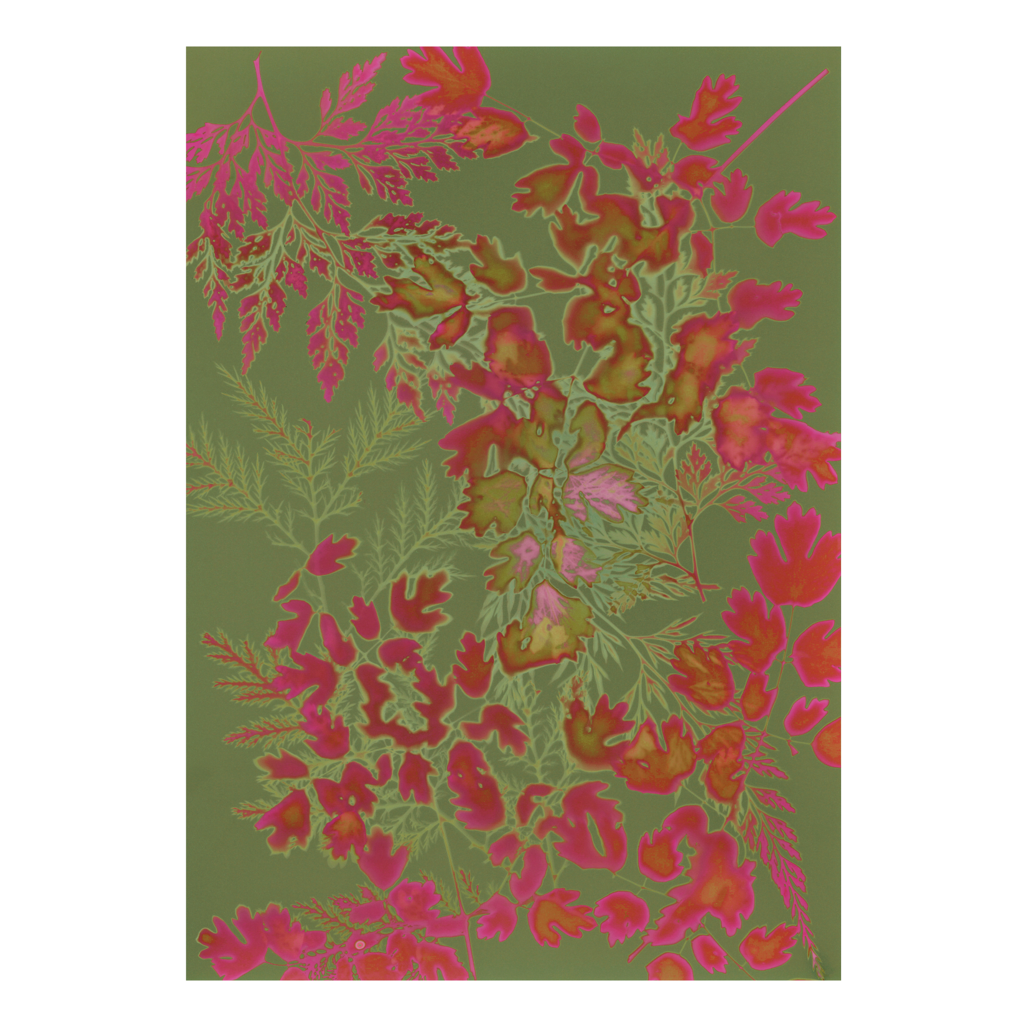 Floral pattern with pink and red flowers on a green background