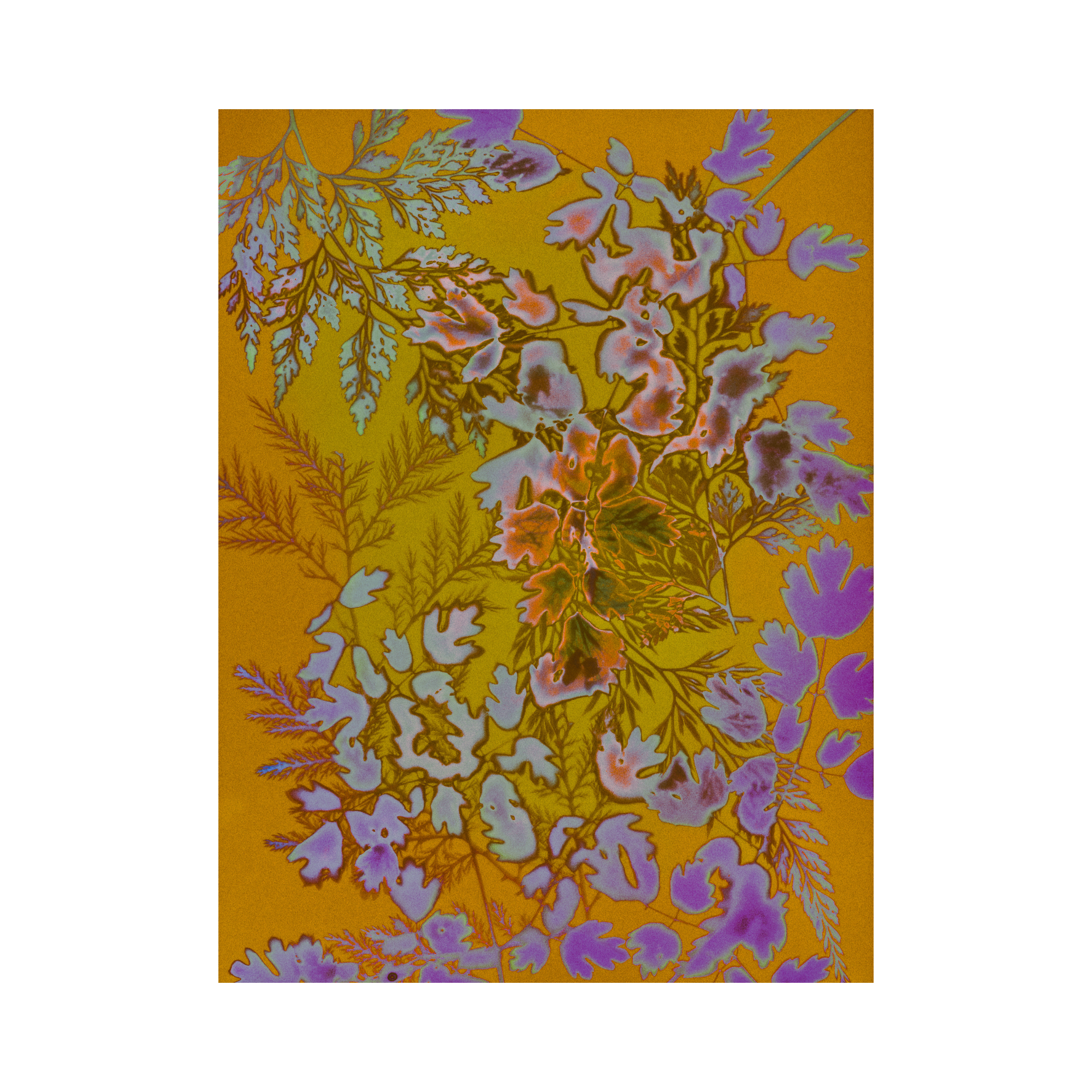 Everything to Everyone