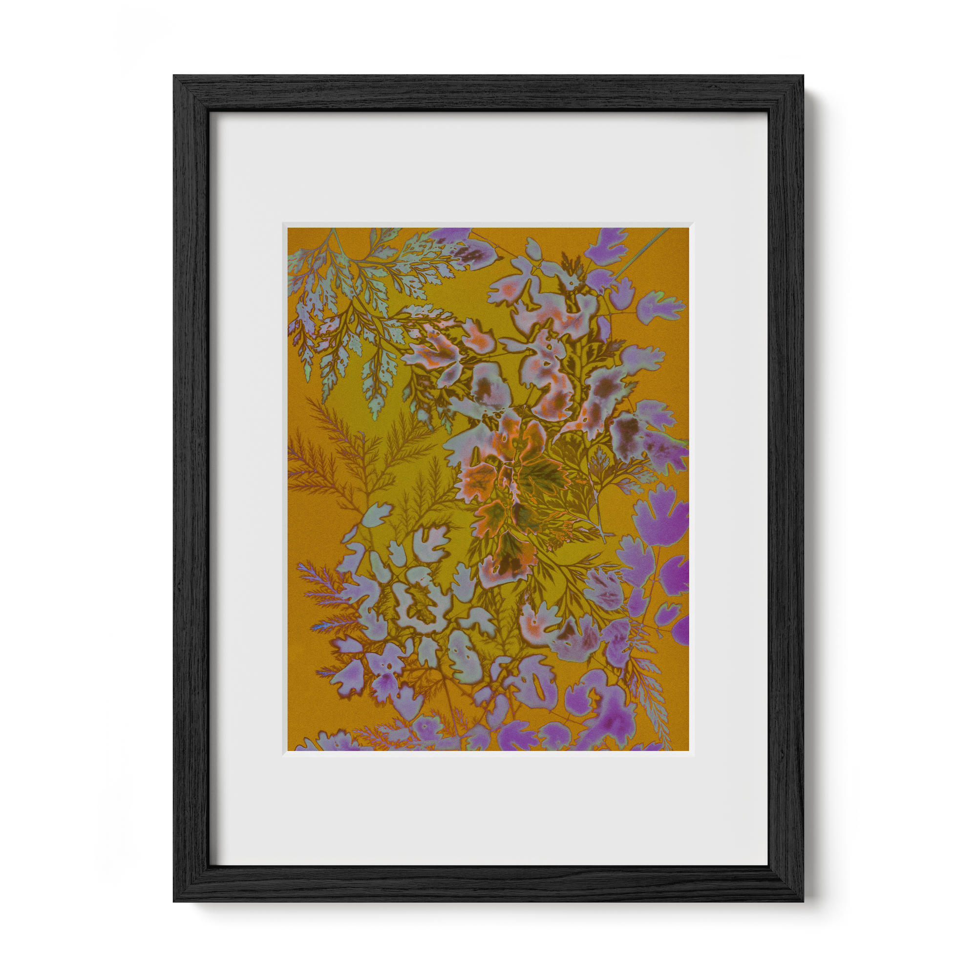 Everything to Everyone