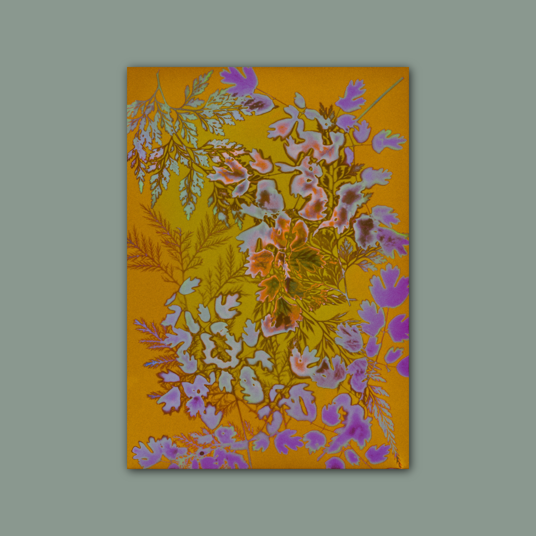 Everything To Everyone