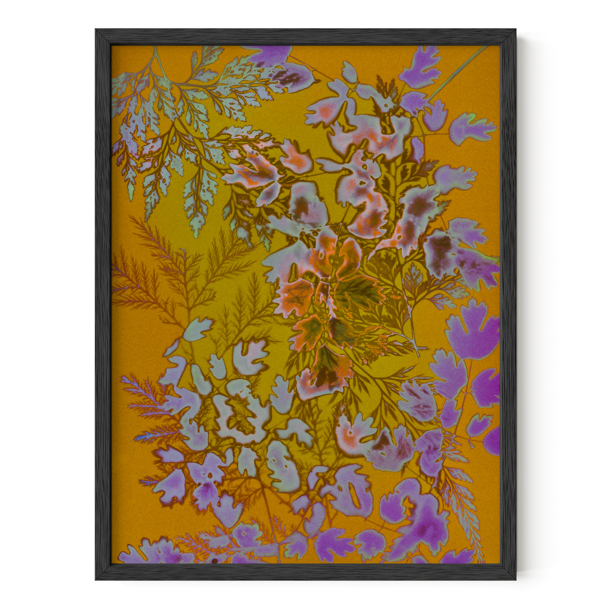 Everything to Everyone