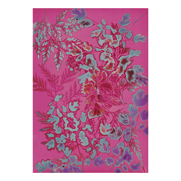 Floral pattern on a pink background