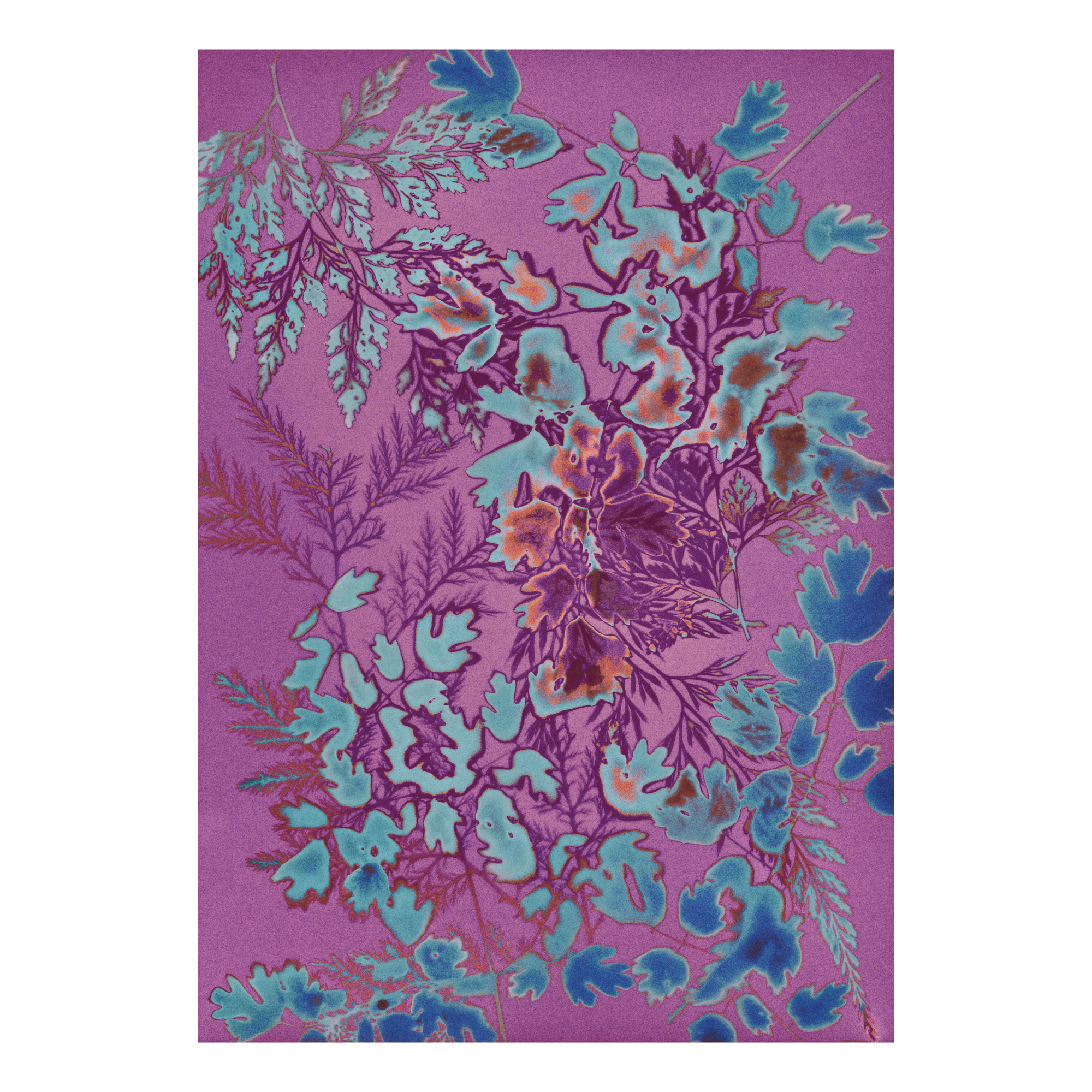 Floral pattern on a purple background