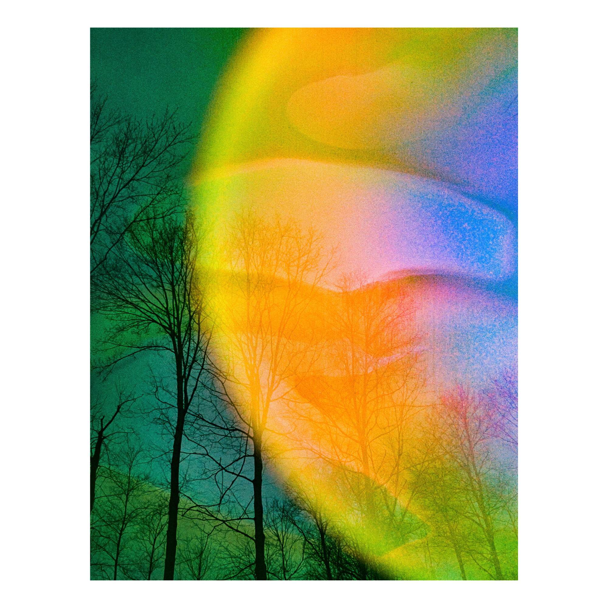 Colorful abstract aura half-sphere with a silhouette of trees against a multi-green background