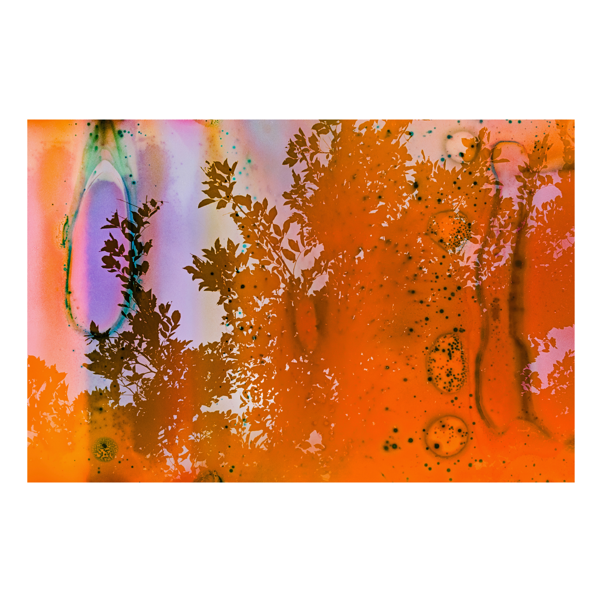 Tree leaves against a clear sky overlaid with orange and light purple color washes and swoopy marks and dots