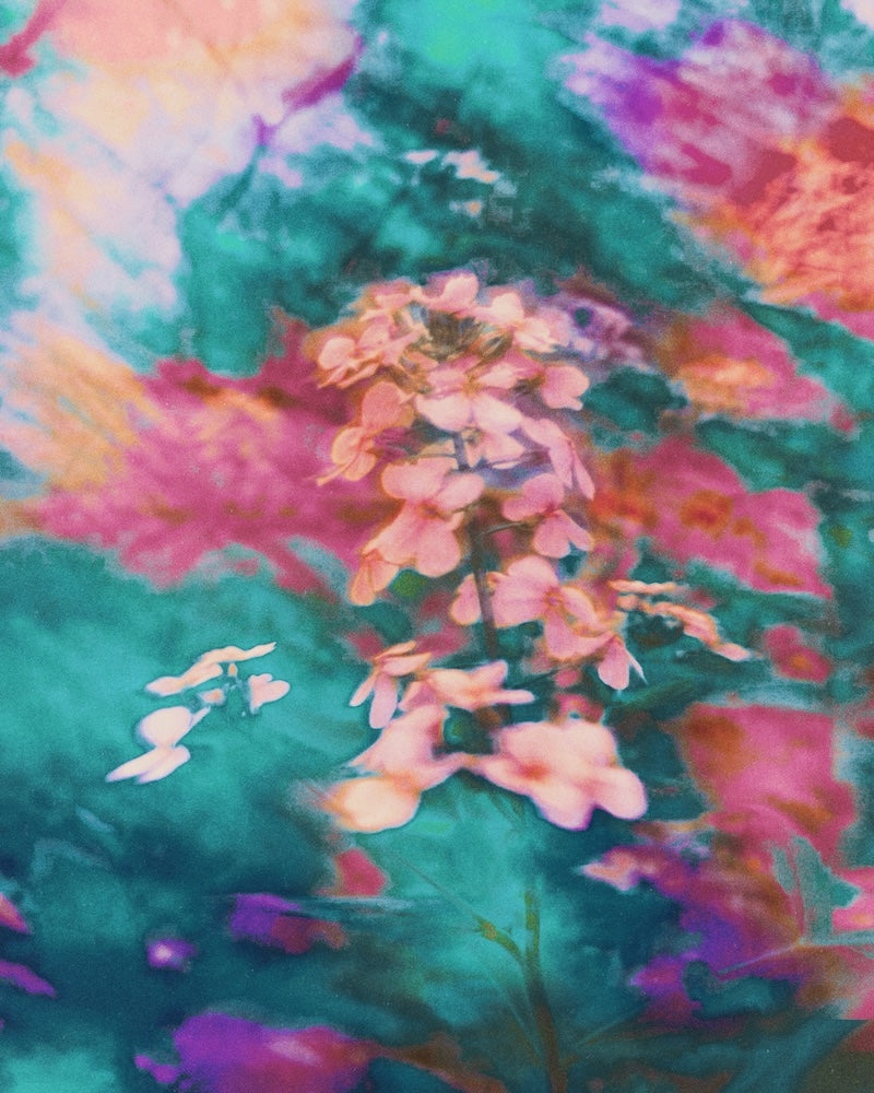 Pink abstract flowers on a multicolored background