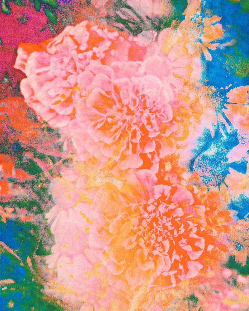 Colorful abstract pattern with pink, orange, and blue flowers.