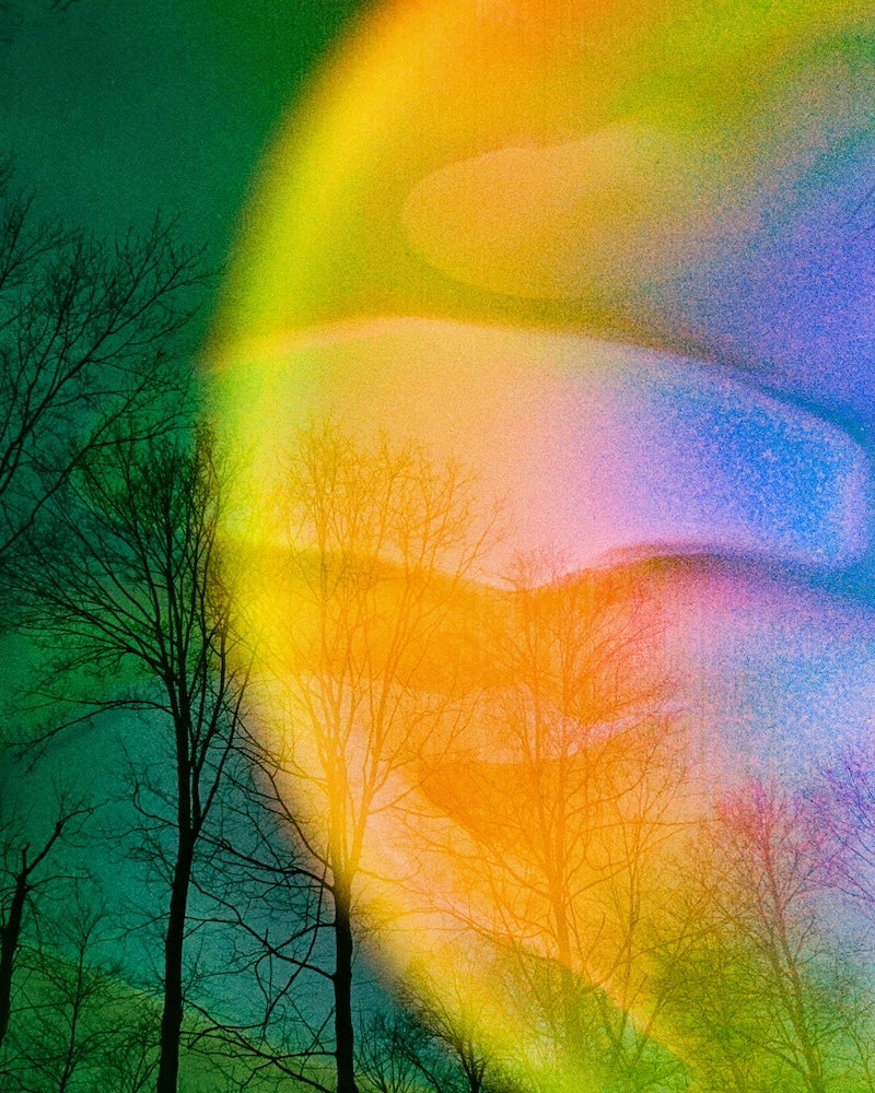 Colorful abstract sphere overlaying a silhouette of trees against a dark background