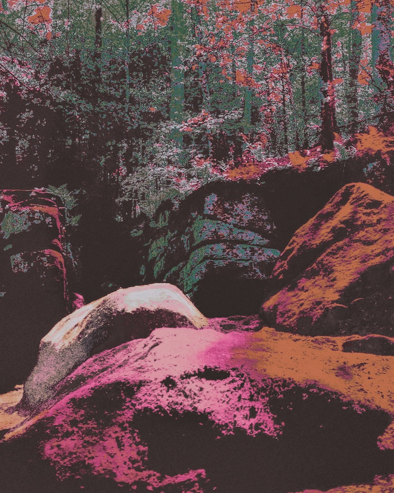 Colorful abstract depiction of a forest with rocks and trees