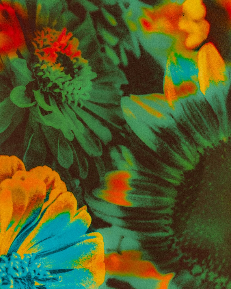 Close-up of vibrant, abstract flowers with psychedelic colors