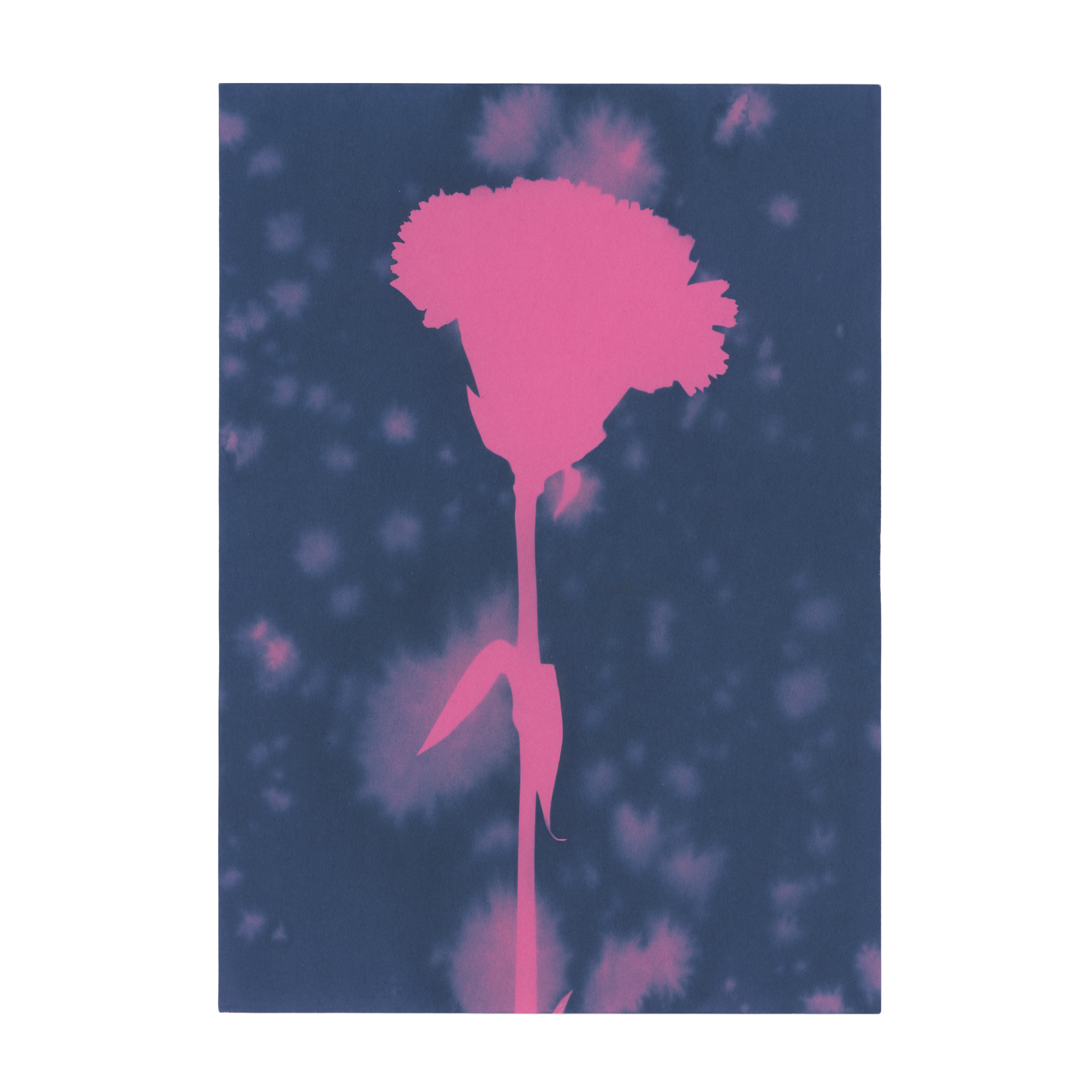 Flower Girl - Original Cyanotype