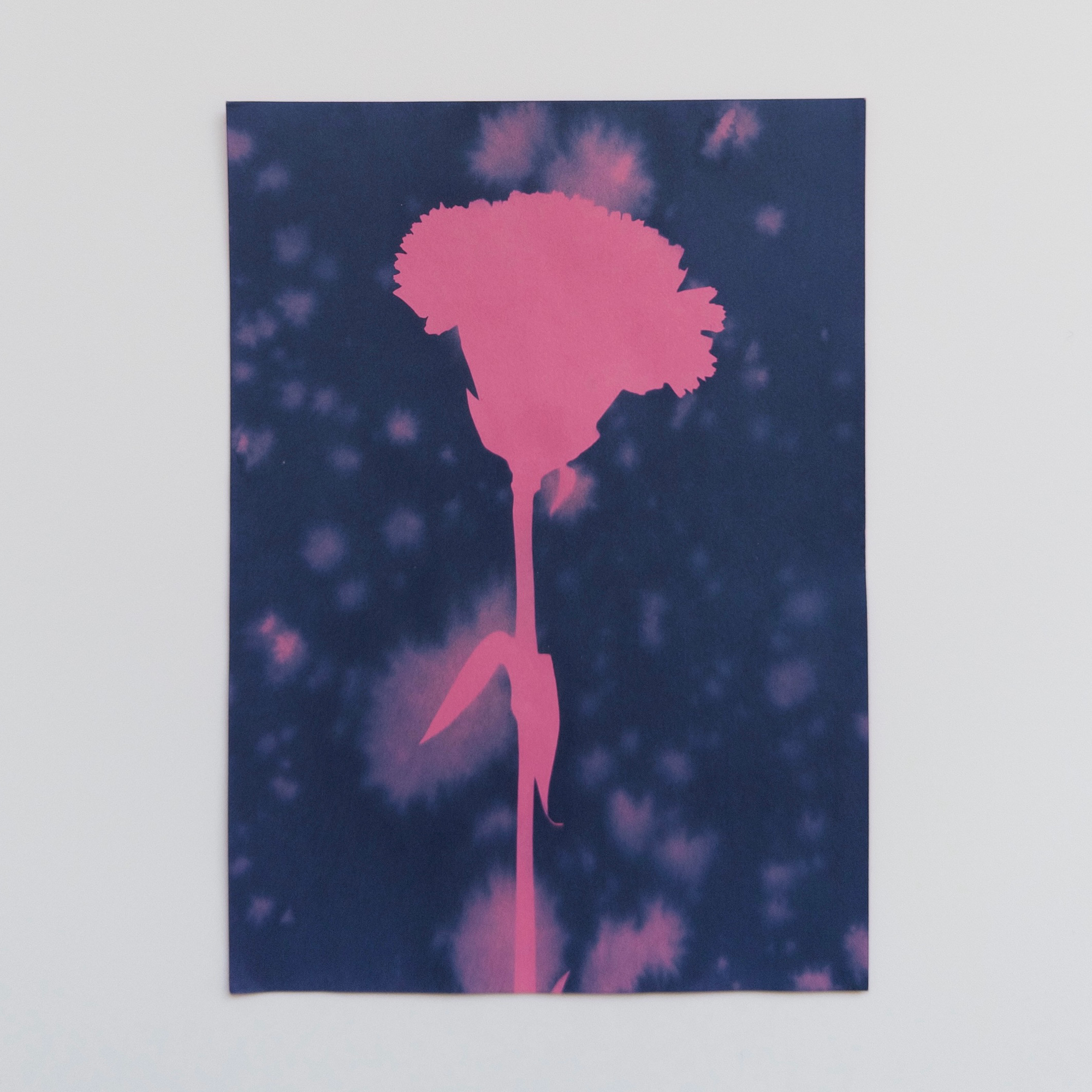 Real life photo of a pink flower silhouette on a blue background